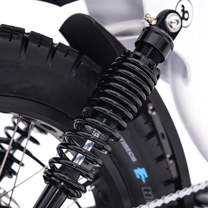 The Fatboy Harlem V2 eBike