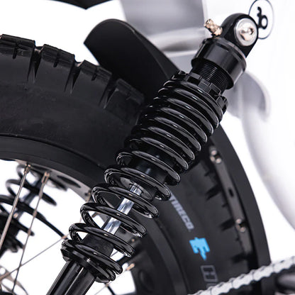 The Fatboy Harlem V2 eBike