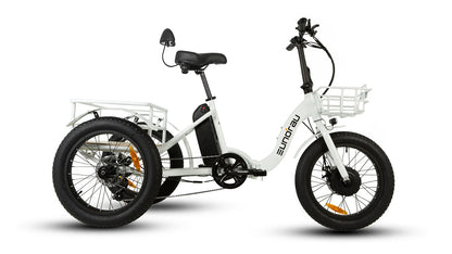 Eunorau NEW-TRIKE eBike