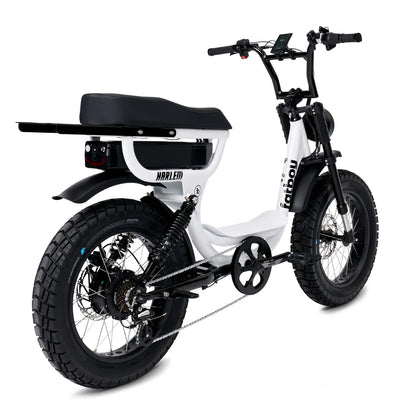 The Fatboy Harlem V2 eBike