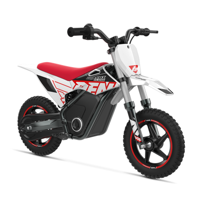 WARRIOR KIDS SX-E250 Electric Bike